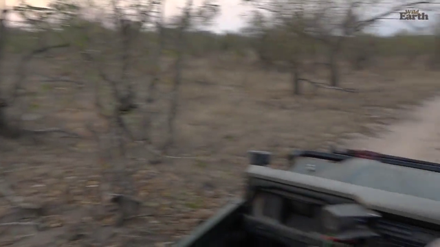 Wild Earth driver has to take off in a hurry
