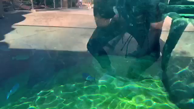 Daph Murders Kids