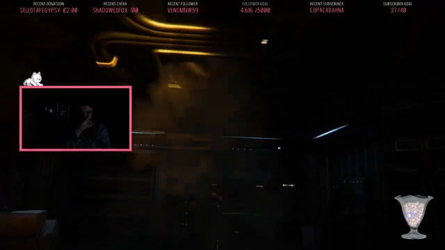 Someone in chat triggers a sfx at the perfect time.