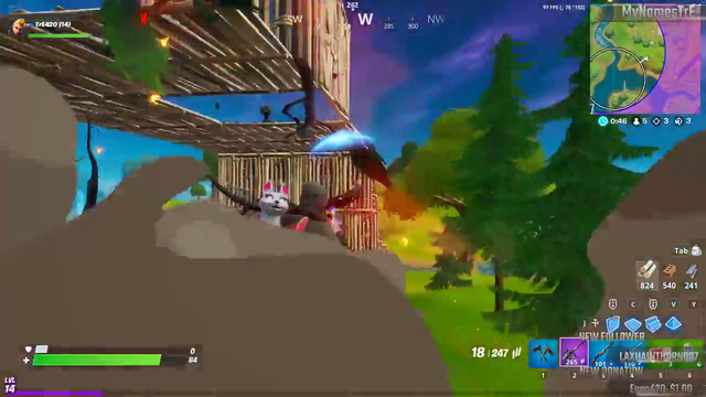 Streamer saves the day