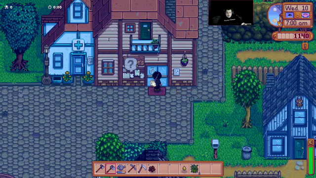 Greek somehow fails to buy seeds for the first 10 days in Stardew Valley and rage quits.