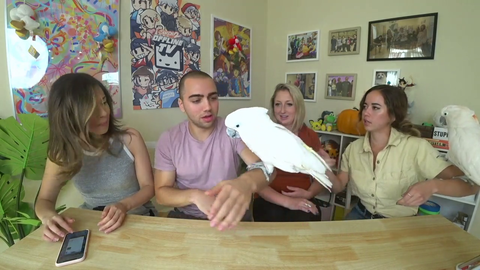 Bird laughs at Mizkif