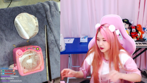 Korean Streamer shows alternate use for tiny washing machine