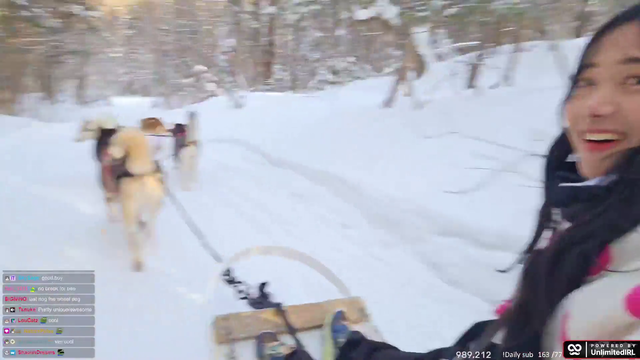 Dog Sledding