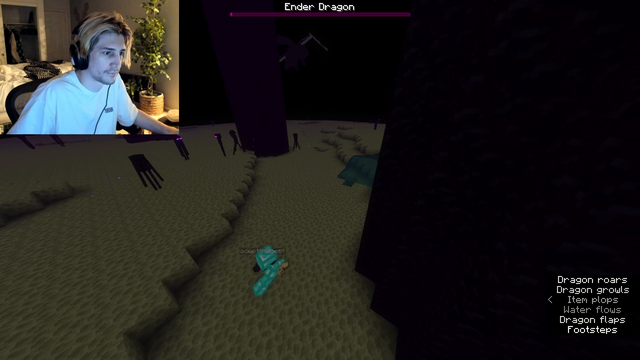 Adept Kills The Ender Dragon