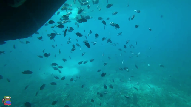 Mermaid Mhyochi's Underwater Adventure