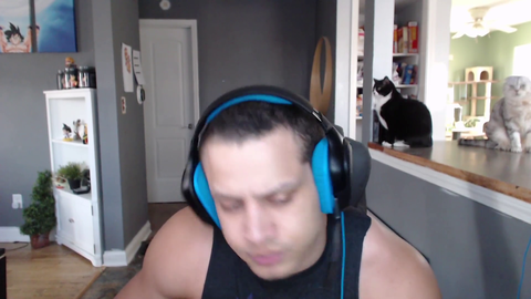 Tyler1's Cats Gathered Around for Intro