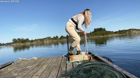 ingel - Caught a duck Sadge