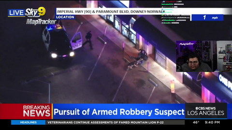 LAPD accidentally forcefully arrests an innocent bystander