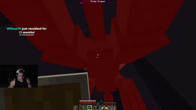 T1 finally beats the Ender Dragon