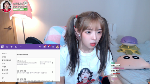Korean Streamer gets very angry with English speaking trolls monkaW
