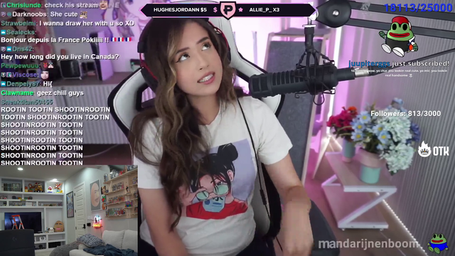 Poki explains Miz's stream