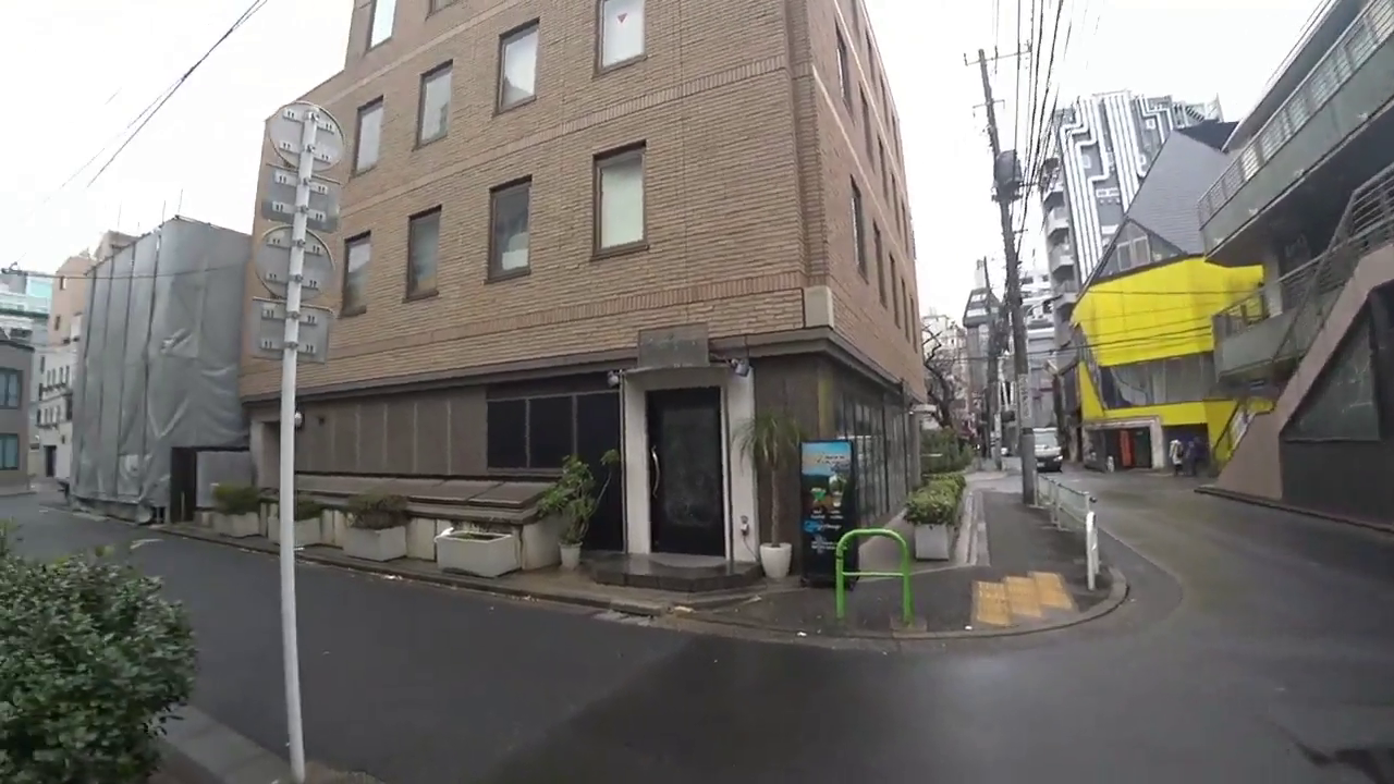 Crazy door in Tokyo