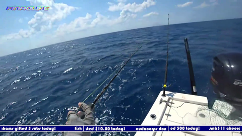 FinaoLive offshore fishing has Great White approach boat