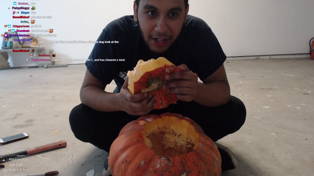 Streamer almost eats diseased pumpkin