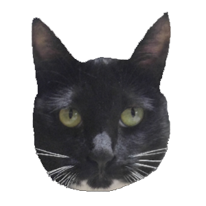 zoodasa