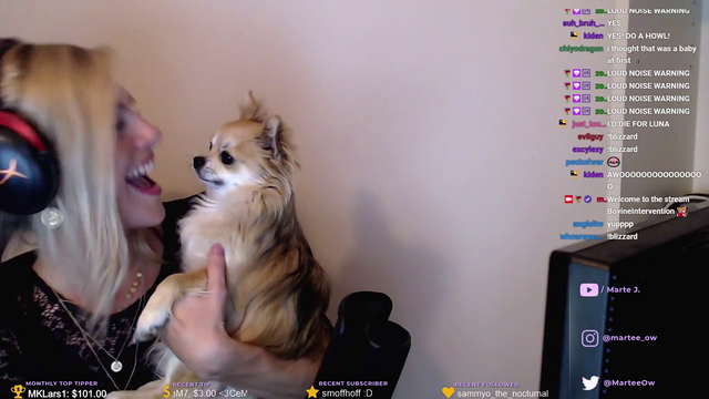Cute doggo sings