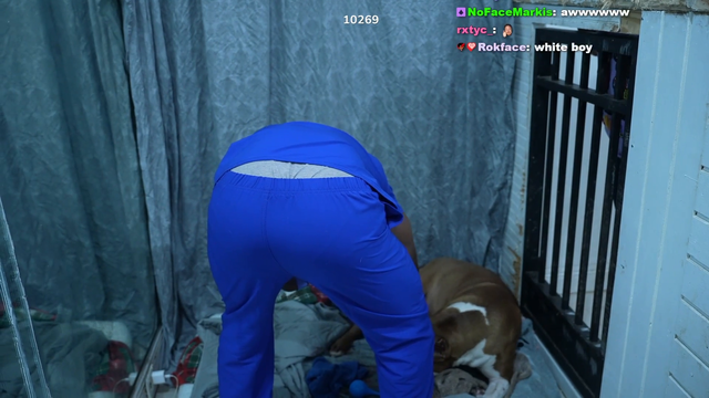 YourVet gets a shiny puppy