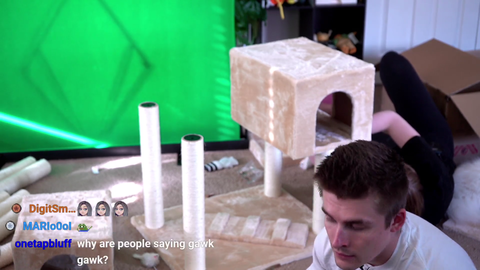 Ludwig explains to QT why Mizkif got a gift from Twitch and not her