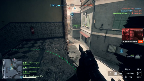 BF6 and ragdoll