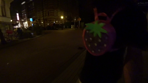 monkaW in Amsterdam, dogs fight or whatever
