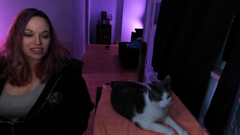 CatArrive