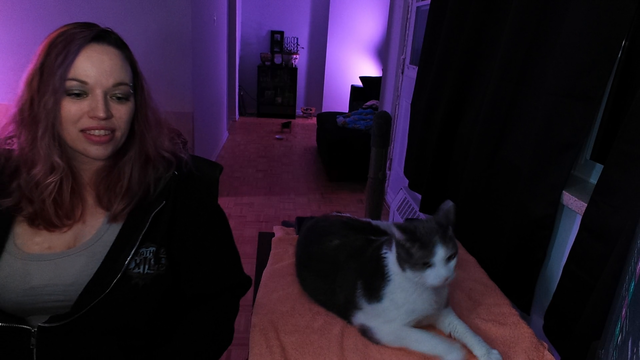 CatArrive