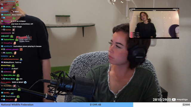 Hachubby tell's Maya where she put mizkif
