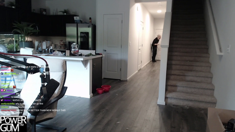 Squirrel attacks streamer