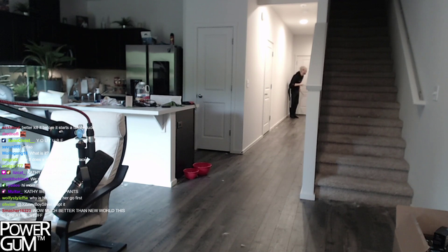 Squirrel attacks streamer