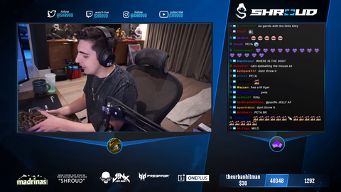 Shroud bleaches his new kitten on stream