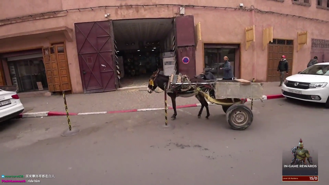 Donkey alarm system goes off
