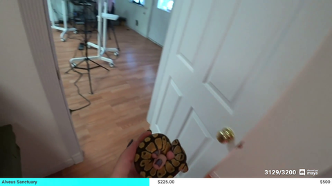 Maya throws snake in trash