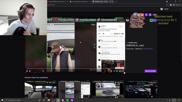 xQc's Great Diet
