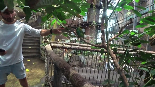 Bird brutally bites Nymn's finger off