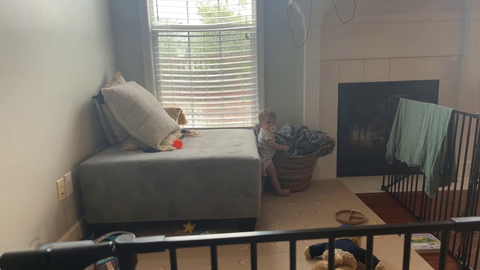 Emmy walks on stream