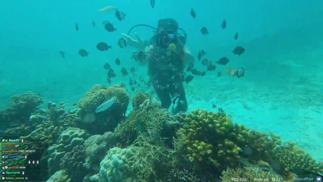 Swimming with the fishes