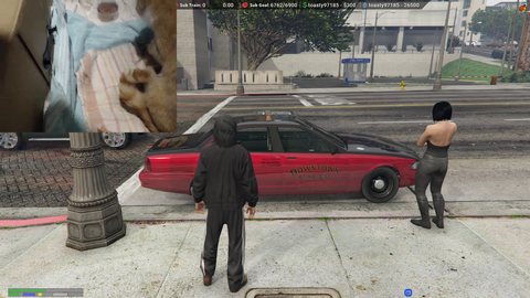 Buddha's cat had 4 kittens, little Avon, Tony, Saab, and Eddie