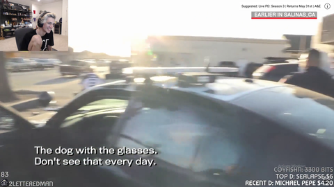 Guy casually walking a dog wearing sunglasses past a traffic stop