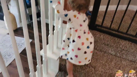 Emmy learns how to use the stairs