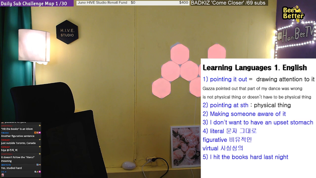 Korean Streamer Learns "Perfect" English from Chat