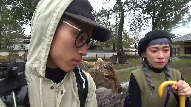Joey gets his Japanese railway pass yoinked