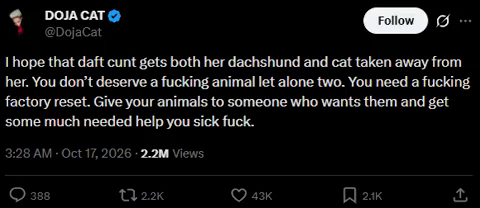 Doja Cat on the Lavlune situation