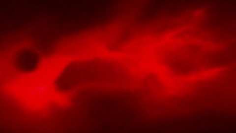 Neon Genesis Esfandgelion