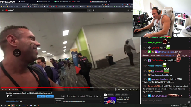 knut revisiting 2019