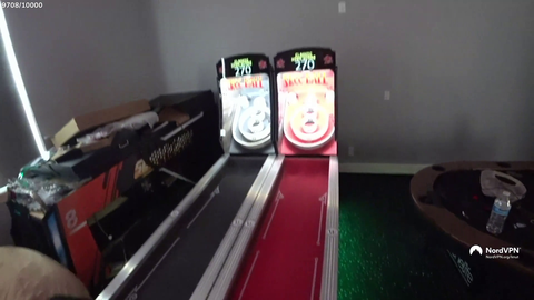 Knut plays Skee Ball for the first time