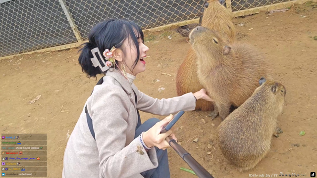 Capybara is having the time of his life