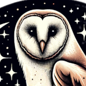 HootHouseLivestream