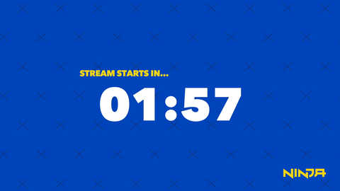 Ninja live on twitch "We back?"