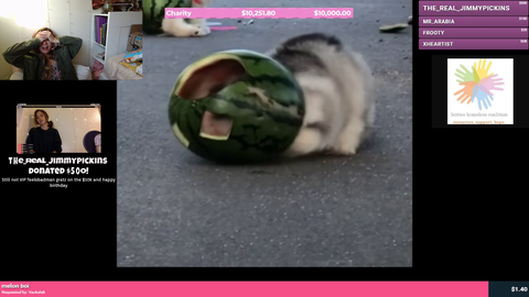 MAYA did a birthday Charity Stream she raised 10k. FeelsStrongMan.